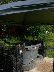 july 22 009 (480x640)